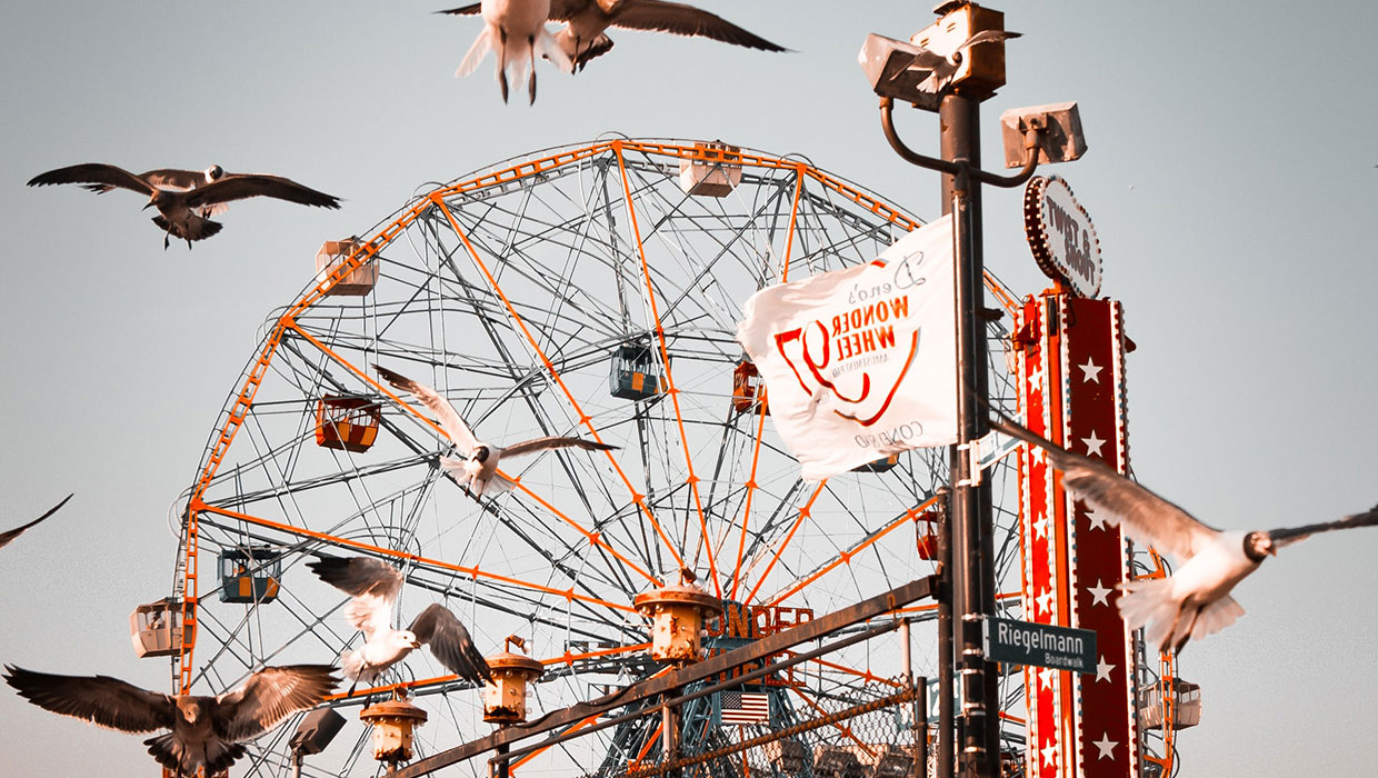 Flock of birds flying